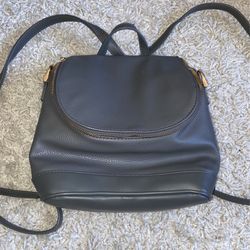 Purse/backpack