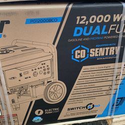 12,000 w  dual fuel pulsar generator