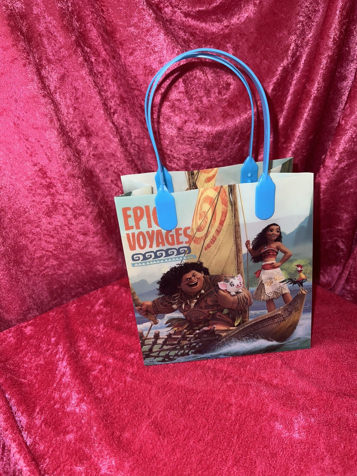 Moana Goodie Bags For Party 