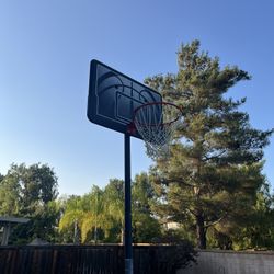 Basketball Hoop 