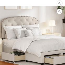 DG Casa Argo Tufted Upholstered Nailhead Trim Headboard And Bed Frame with Storage Drawers - Queen