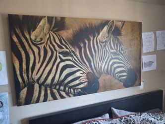 3'x4' framed canvas  Zebra art