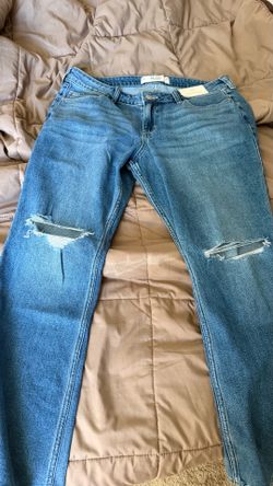 Hollister Jean