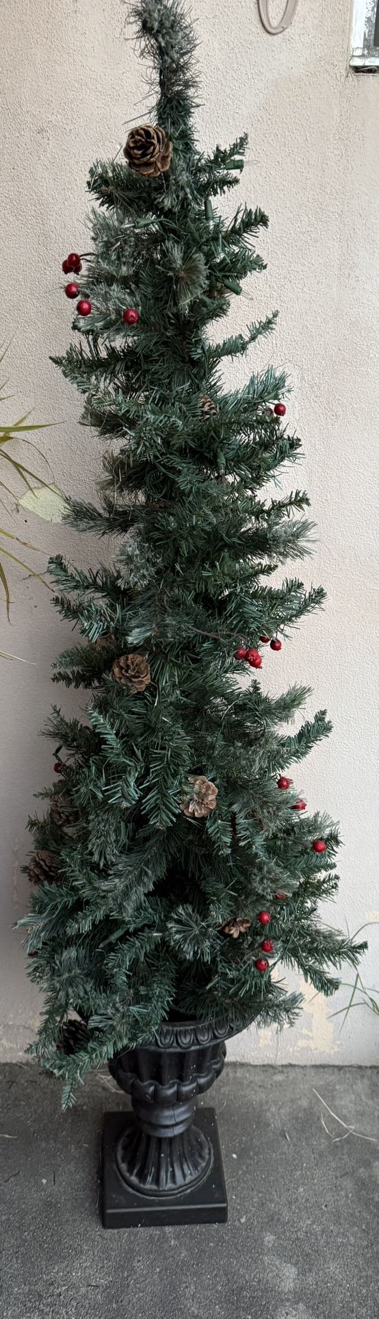 Outdoor Tree