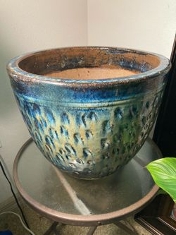 Ceramic Pot with Fern
