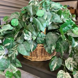 High Quality Faux Greenery Read Description 