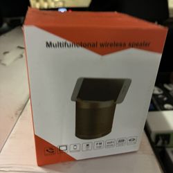 Multifunctional speaker and fm receiver