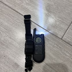 XXXS Dog Bark/Shock Collar