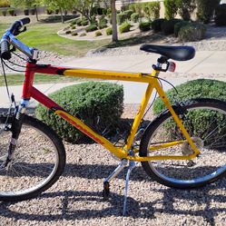 Vintage Schwinn Mesa in good shape