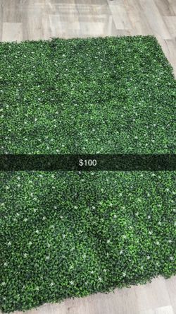 Hedge Grass wall