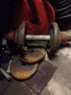 Old small curl weights