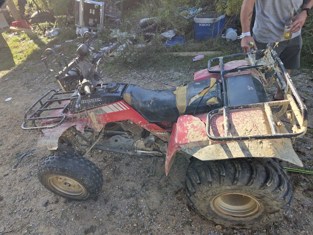 Honda Four Traxx 250 2wd