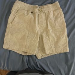 Express Textured Shorts