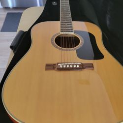 Washburn D9C Acoustic Guitar 