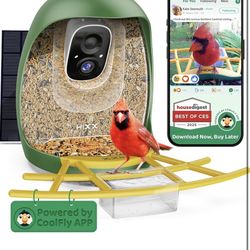 Smart Bird Feeder with Camera, Birdwatching Camera with Lifetime Free AI Identify Bird Species & Solar Panel, Auto Video Capture & Instant Notificatio