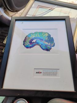 Certified Brain Art