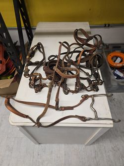 Vintage horse tack
