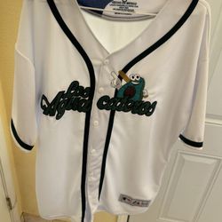 Aguacateros Jersey 