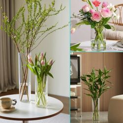 Cylinder Glass  Clear Tall Vase 