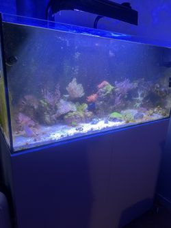 Waterbox 110X Saltwater Tank
