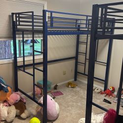 Twin Loft Beds