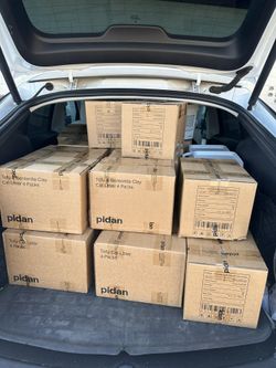 10 box of pidan tofu and bentonite clay cat litter. 