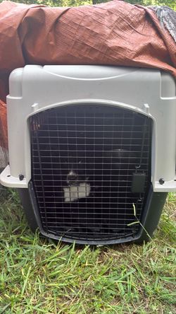 Kennel w/ p3ț