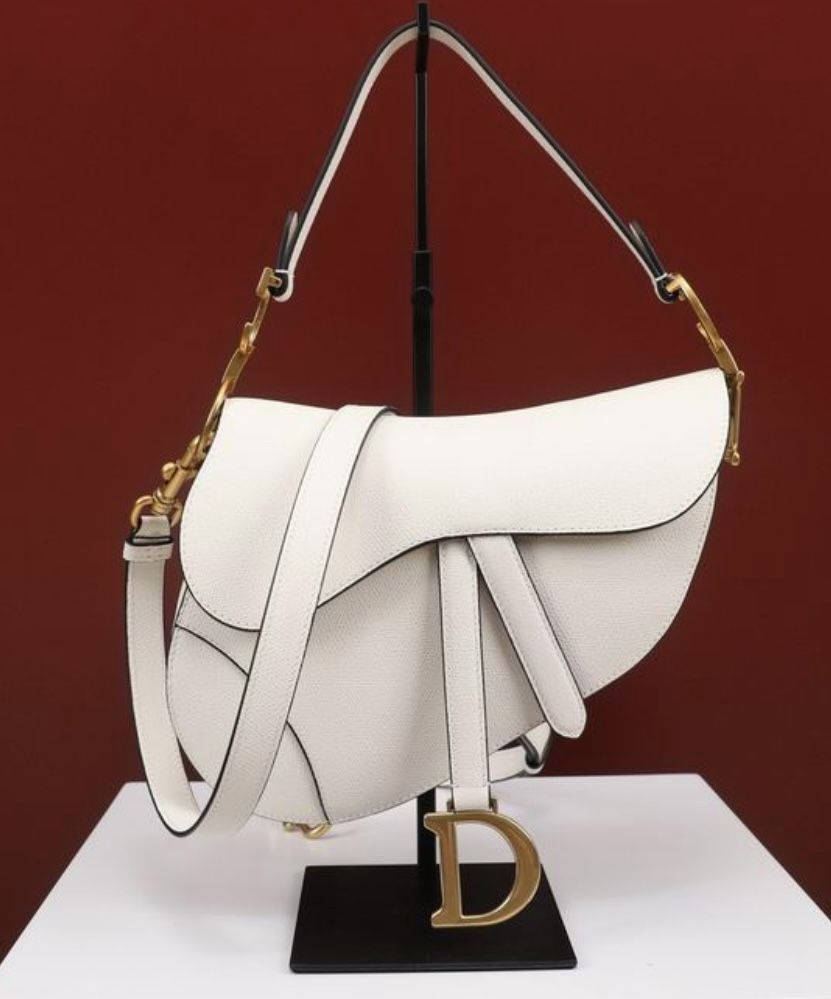Dior Saddlebag