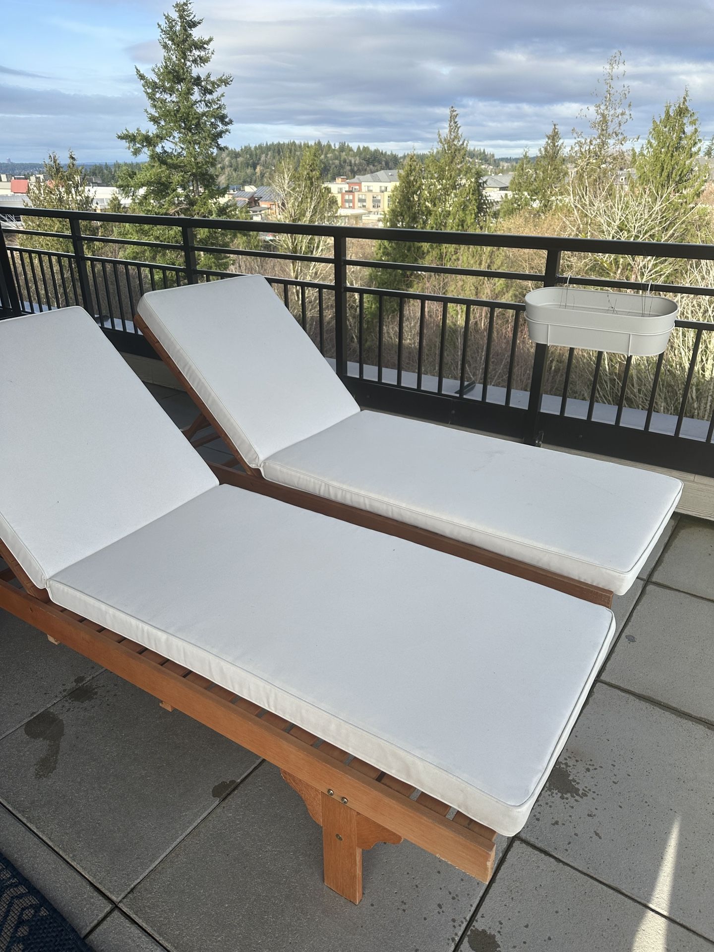 Safavieh Patio Chaise Lounge Chairs (2) - Beige Cushions, Eucalyptus Wood