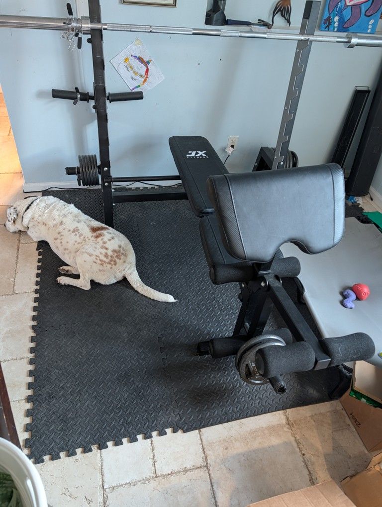 JX Fitness Weight Bench With Olympic Bars and Weights For Sale
