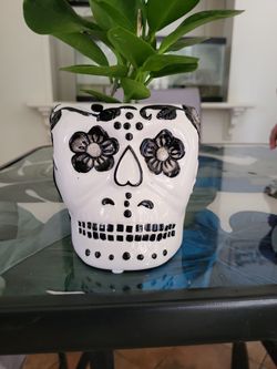 Sugar Skull White And Black