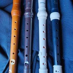 Flute Recorder Read Description Please 