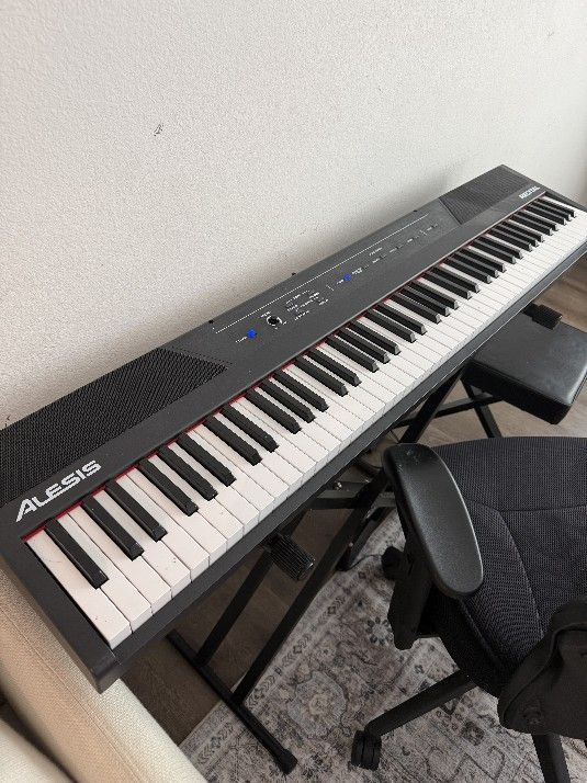 Piano Keyboard Bench And Stool