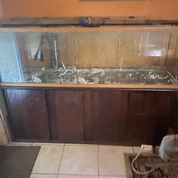 Free To A Good Home