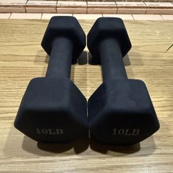 10 Pound Dumbbell pair