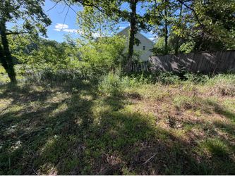 OveRGrowN YarD CleaNuP