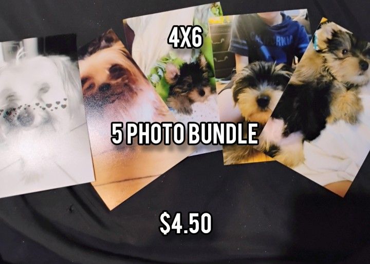 Custom 4x6 photos! (5 photo bundle) Read description for more details
