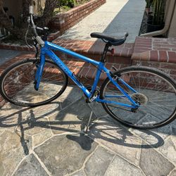 Blue Bike Trek 