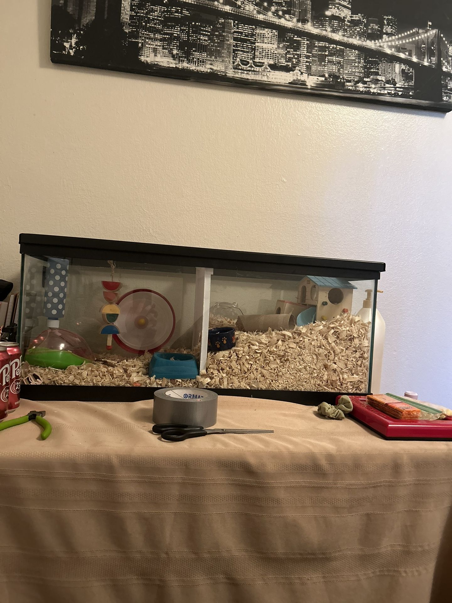 Small Critter 20 Gal Tank And Supplies