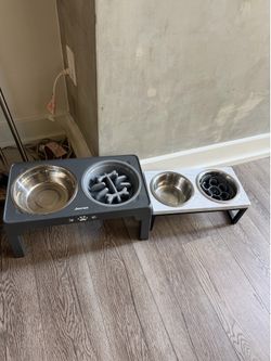 Raised dog bowls. Slow feeders. One or both.