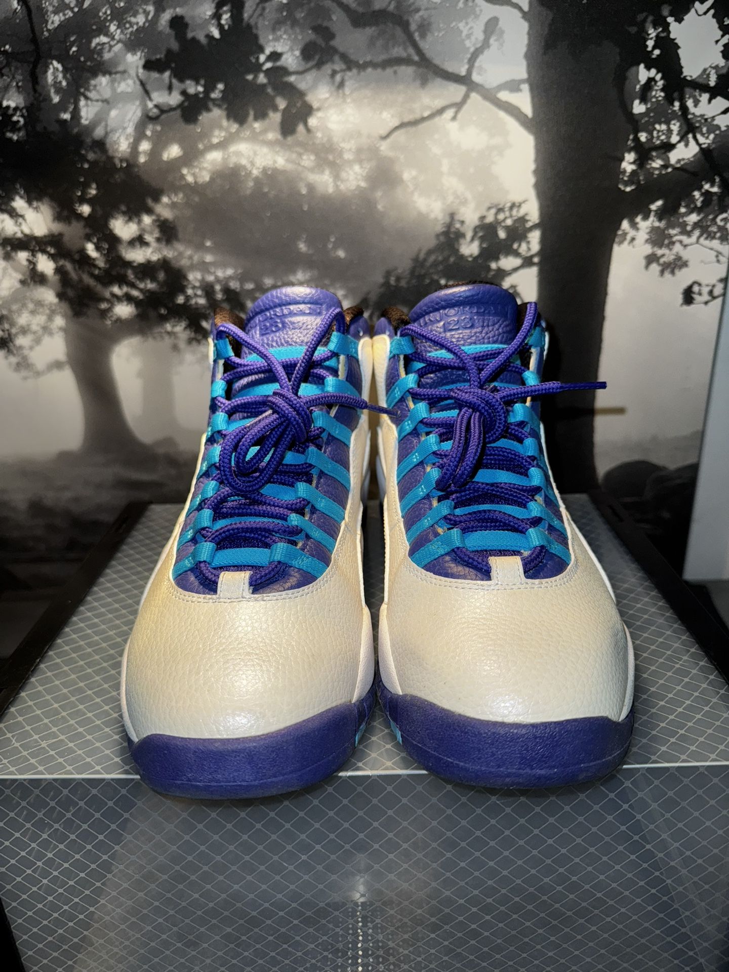Air Jordan 10s Charlotte Edition Size 9.5