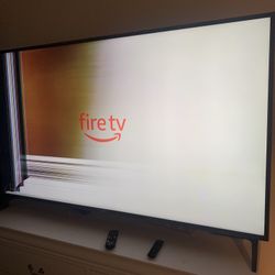 LG 70” The V