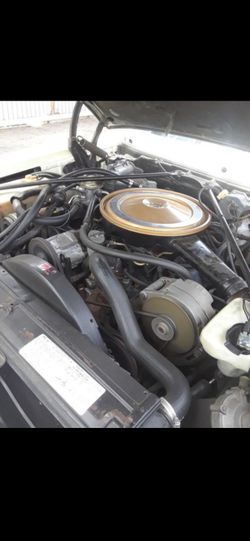 Trade for a motocycle show me what you got