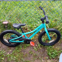 Trek 16 inch bike ready to ride