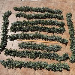 40+ feet Artificial eucalyptus  4-4 1/2 feet long each