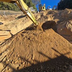 Dirt Free