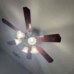 A Beautiful, Strong Sailing Fan, Nice And Cool Wind