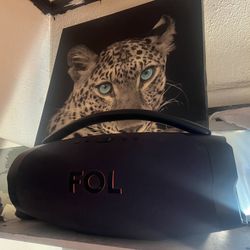FOL Bluetooth Speaker 