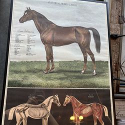 Vintage Horse Poster 