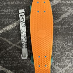 Penny Brand “Penny” Board 22”